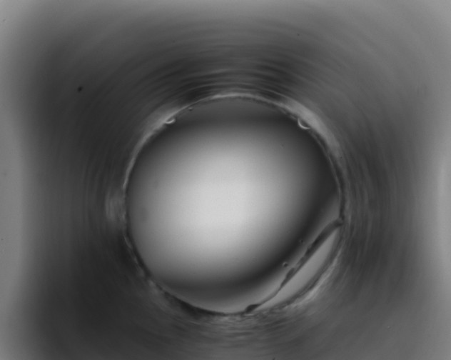 X0000094931145200712061124