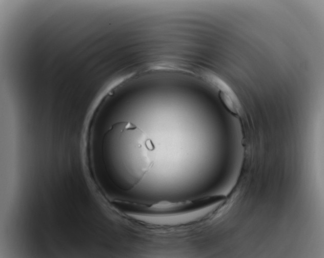 X0000094931146200712061124