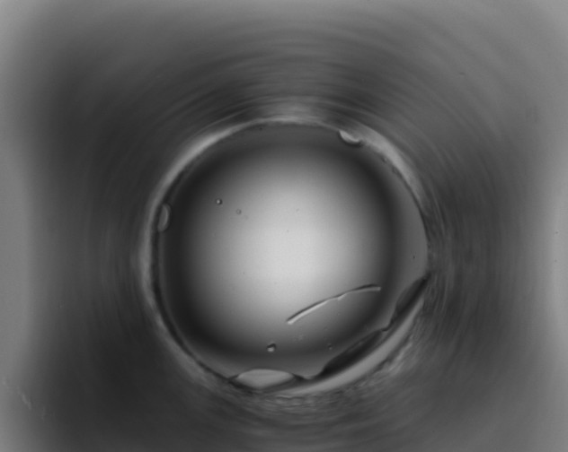 X0000094931147200712061124