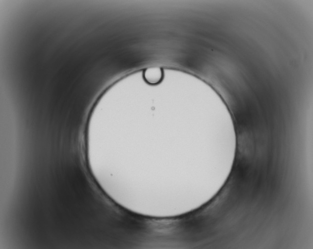 X0000094931150200712061124