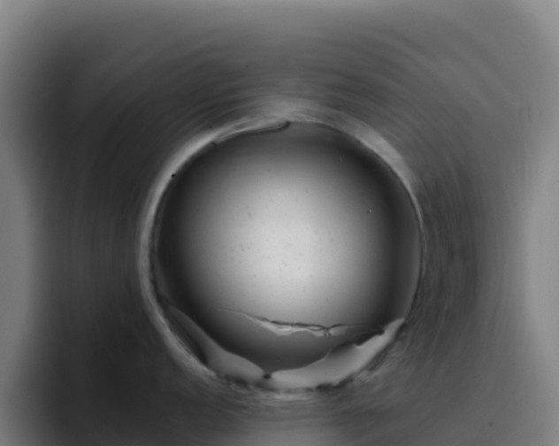 X0000094931152200712061124