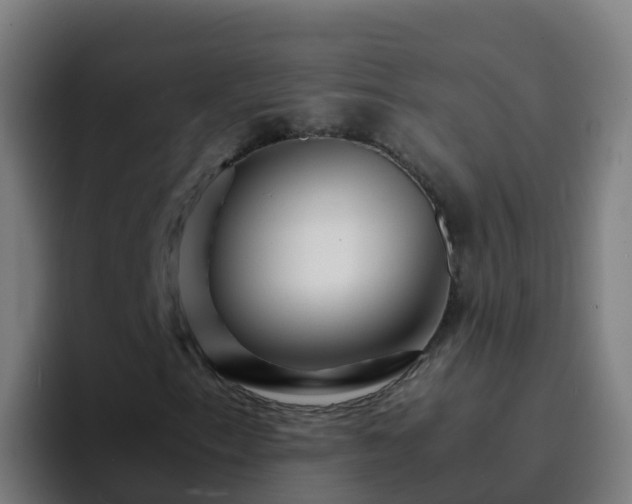 X0000094931153200712061123
