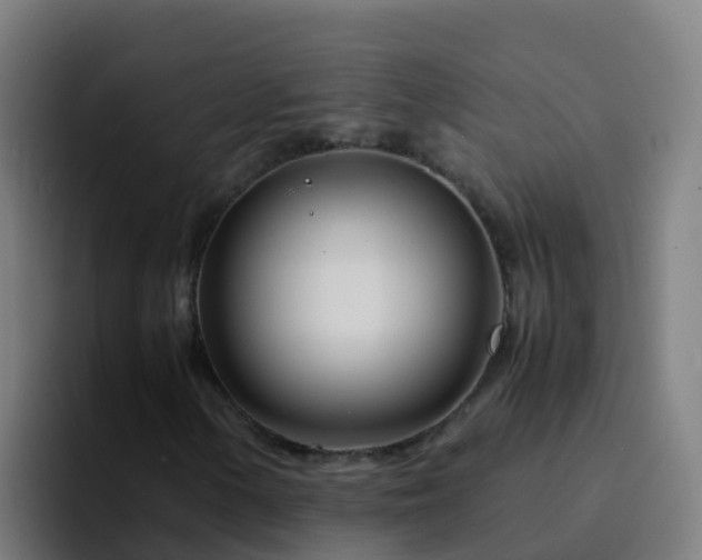 X0000094931154200712061123
