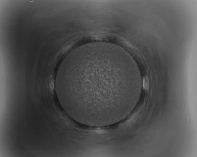 X0000094931155200712061123