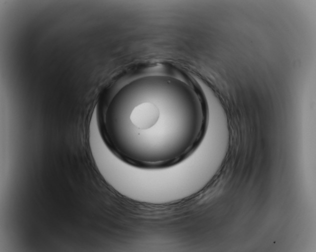 X0000094931156200712061123