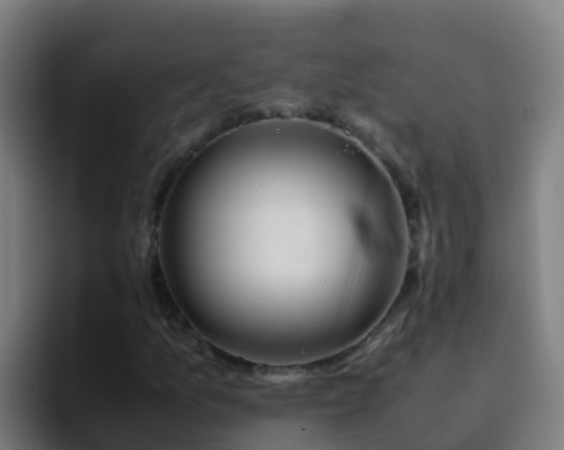 X0000094931157200712061123