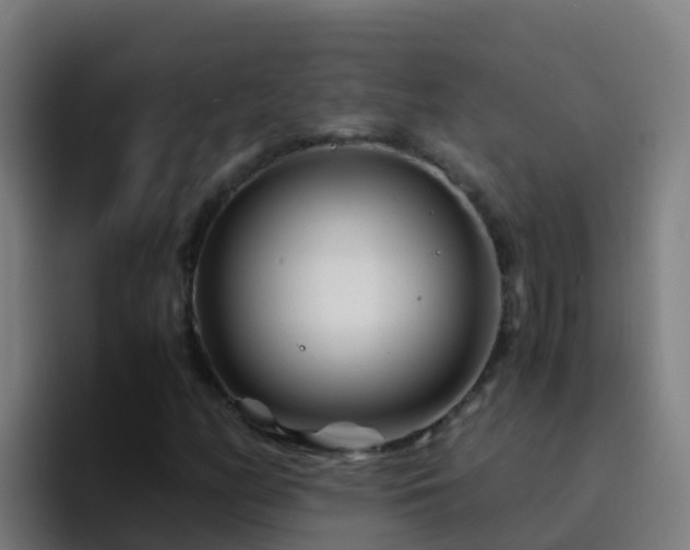 X0000094931158200712061123