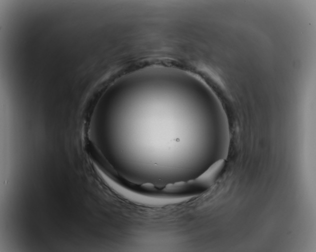 X0000094931159200712061123