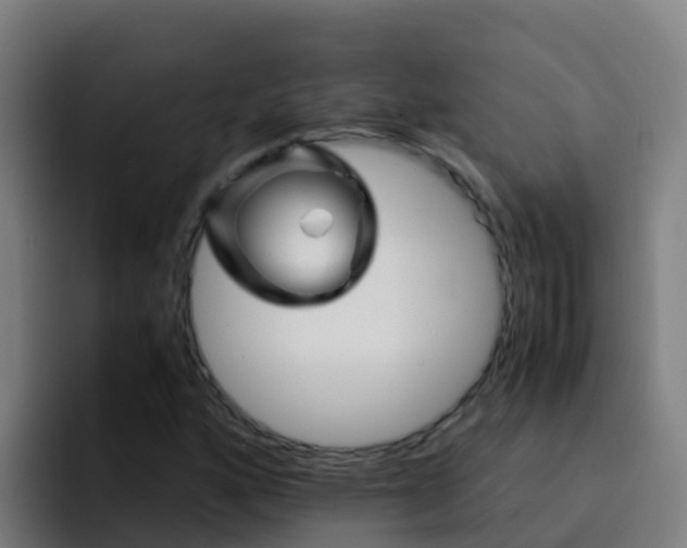 X0000094931160200712061123