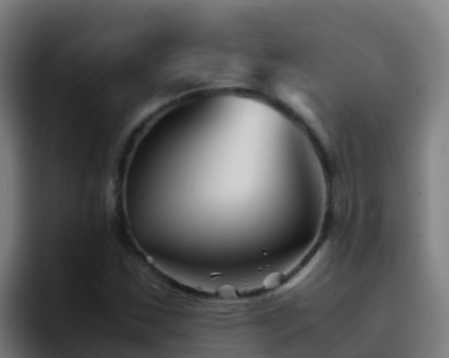 X0000094931163200712061123