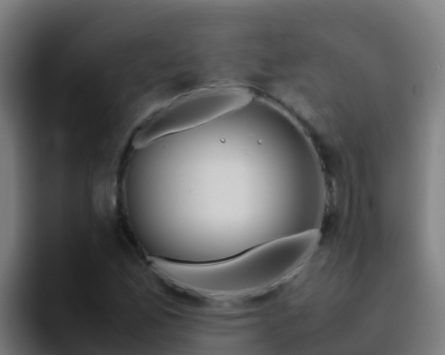 X0000094931165200712061123