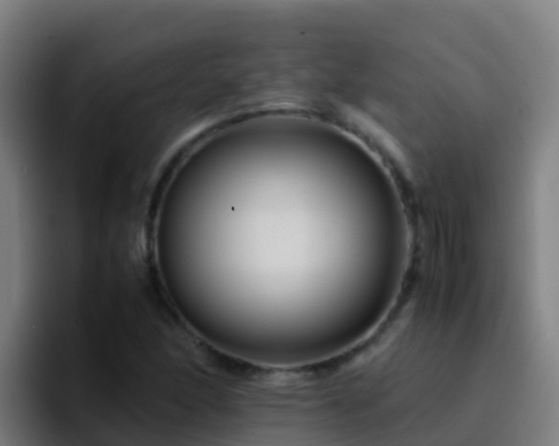 X0000094931166200712061123