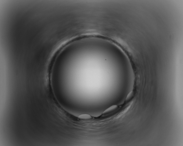 X0000094931167200712061123