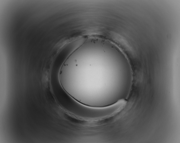 X0000094931169200712061123