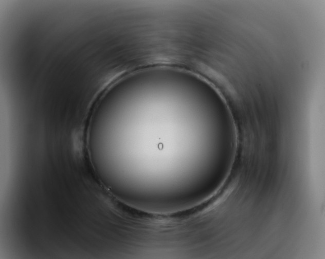 X0000094931170200712061123