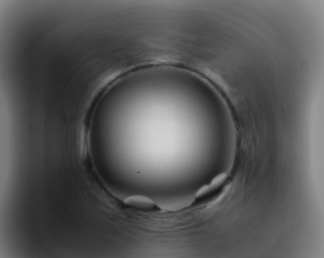 X0000094931171200712061123