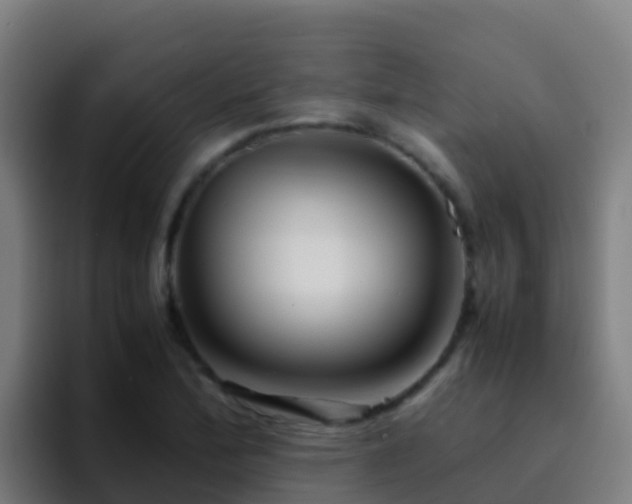 X0000094931172200712061123