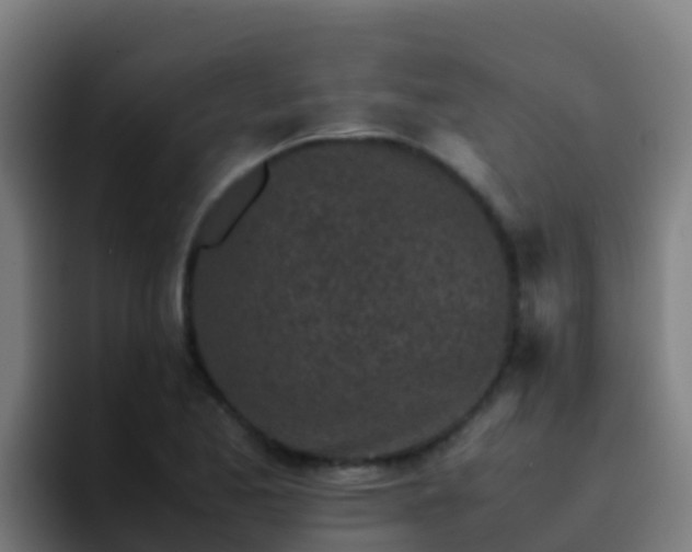 X0000094931173200712061123