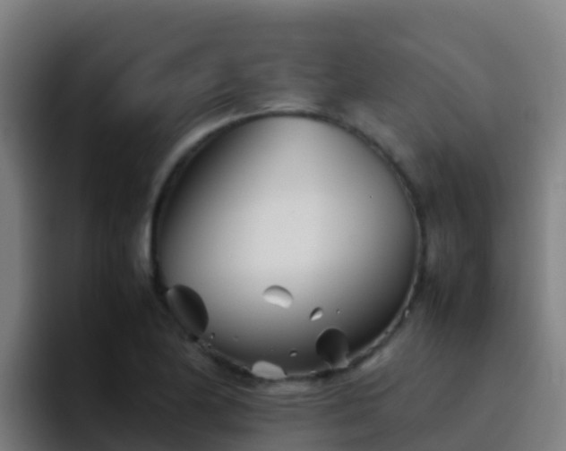 X0000094931174200712061123