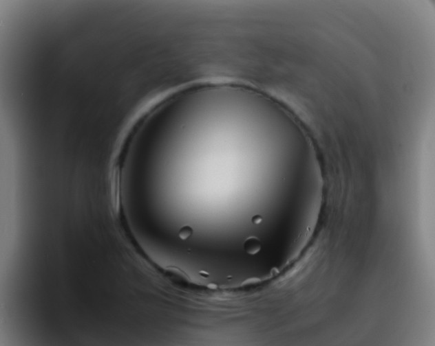 X0000094931175200712061123