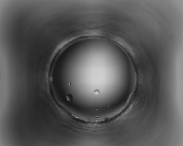 X0000094931176200712061123