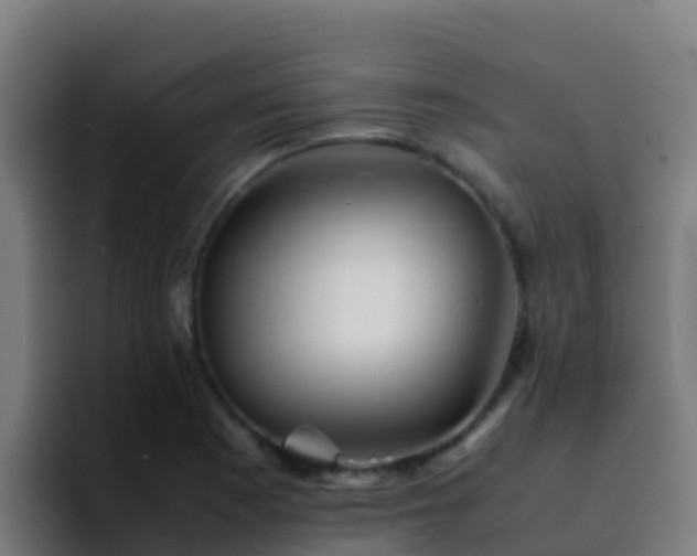 X0000094931177200712061123