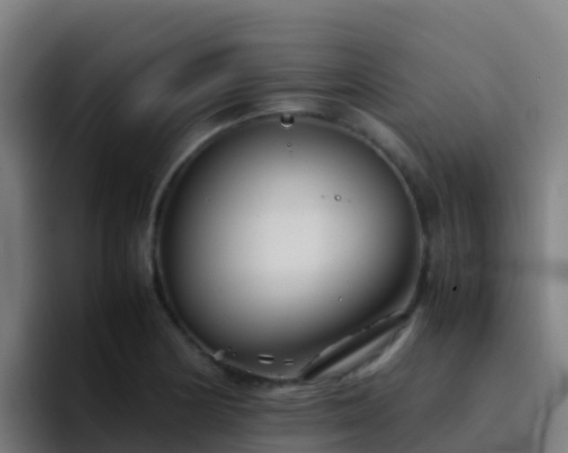 X0000094931178200712061123