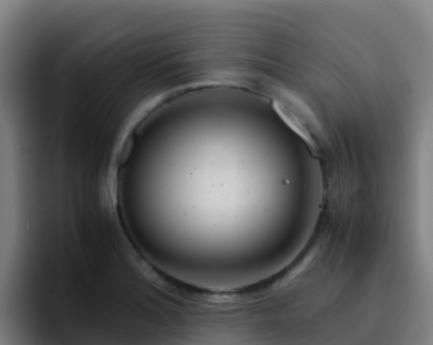 X0000094931180200712061123