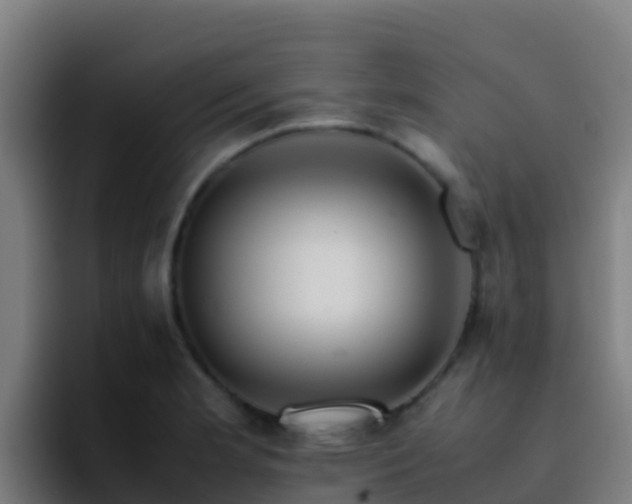 X0000094931181200712061123