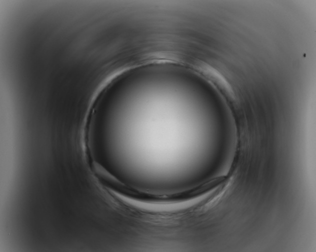 X0000094931182200712061123