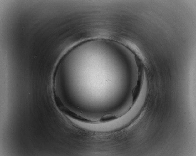 X0000094931184200712061123