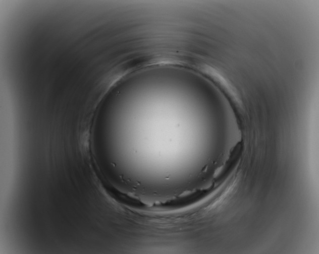 X0000094931185200712061123
