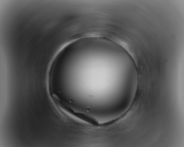 X0000094931187200712061123