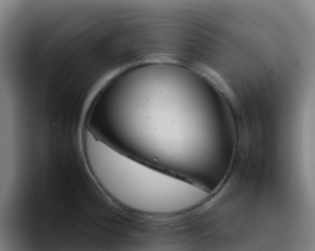 X0000094931188200712061123