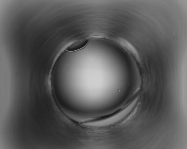 X0000094931190200712061123