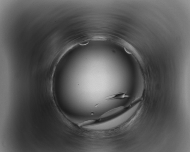 X0000094931194200712061123