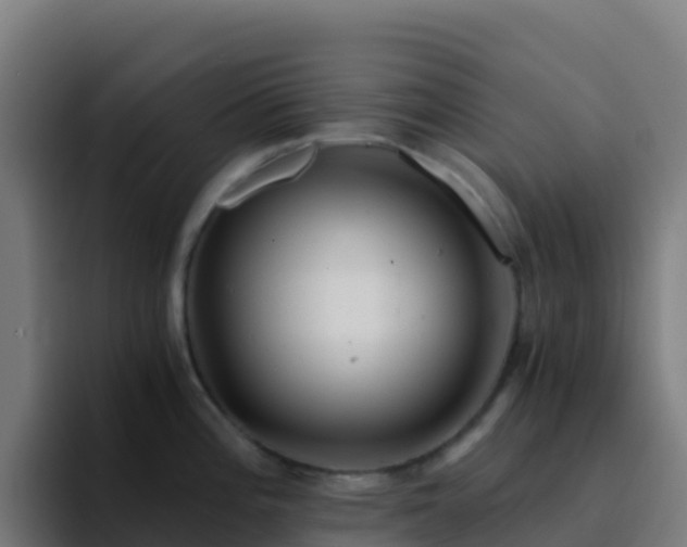 X0000094931196200712061123