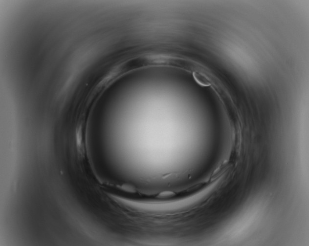 X0000094931198200712061123
