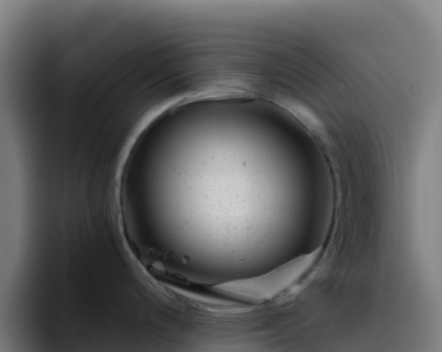 X0000094931200200712061123