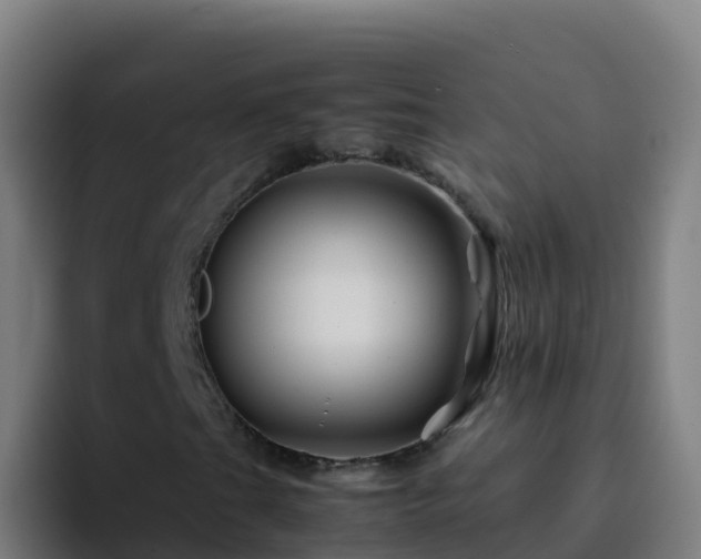 X0000094931201200712061122