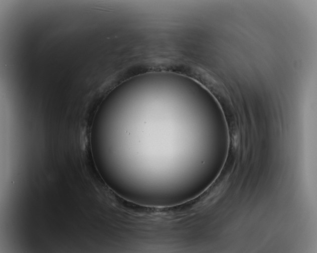 X0000094931204200712061122
