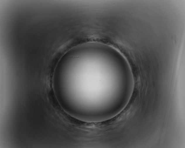 X0000094931205200712061122