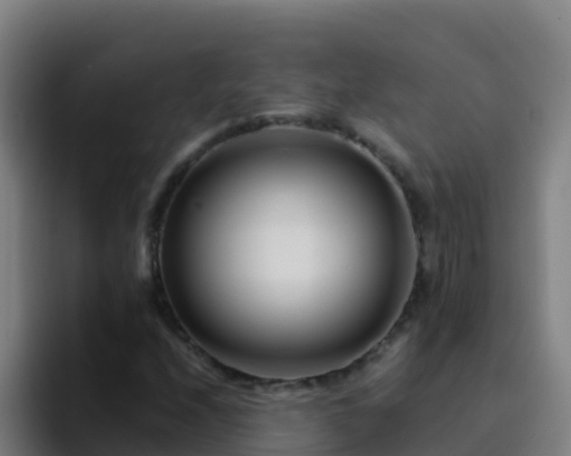 X0000094931208200712061122