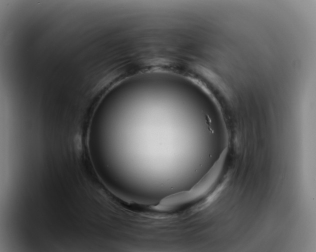 X0000094931209200712061122