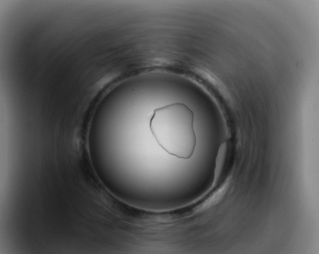 X0000094931210200712061122