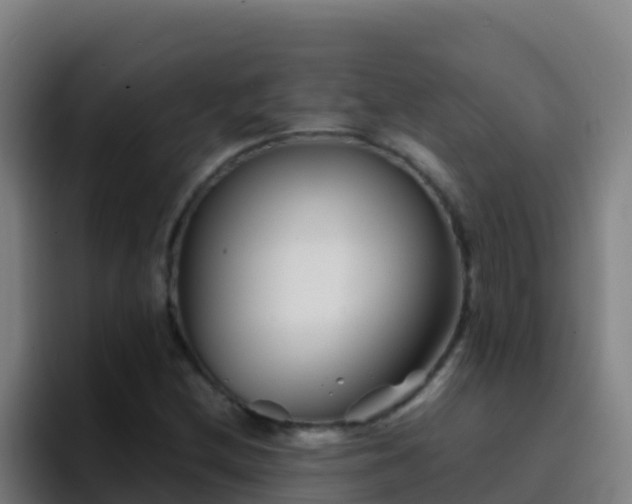 X0000094931212200712061122