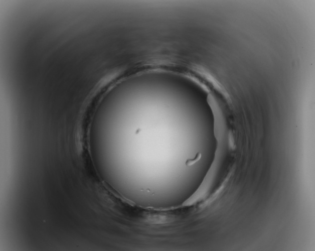 X0000094931213200712061122