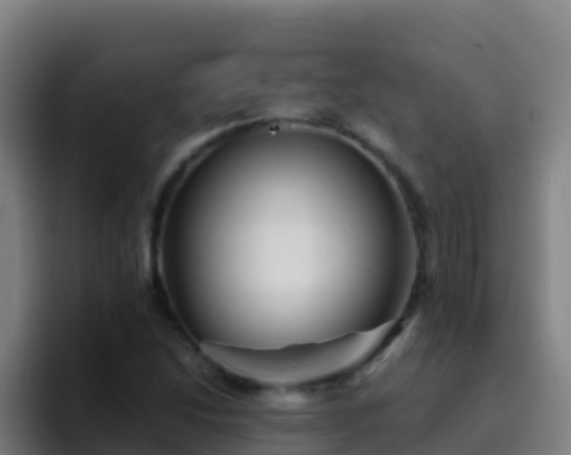 X0000094931214200712061122