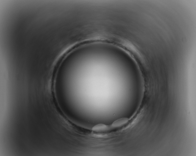 X0000094931216200712061122