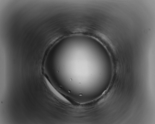 X0000094931217200712061122